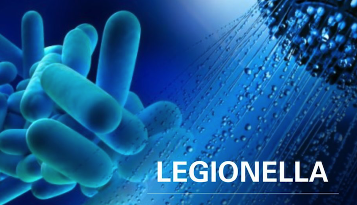Legionella, Legionnaires' Disease, Legionellosis, Waterborne illness, respiratory disease